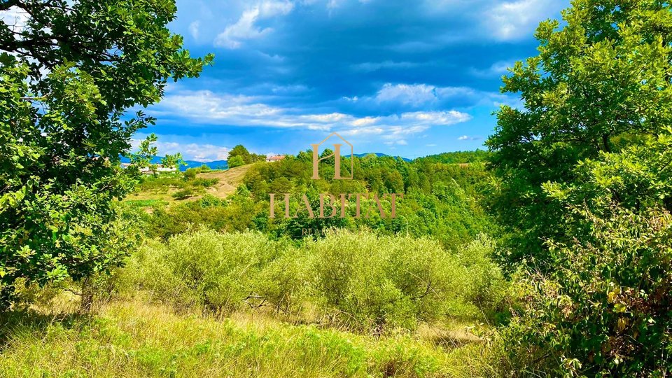 Istra, Draguć, PRILOŽNOST, gradbena parcela na čudoviti lokaciji, stanovanjska namembnost