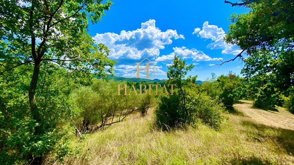 Istria, Draguć, OPPORTUNITY, building plot in a wonderful location, residential purpose