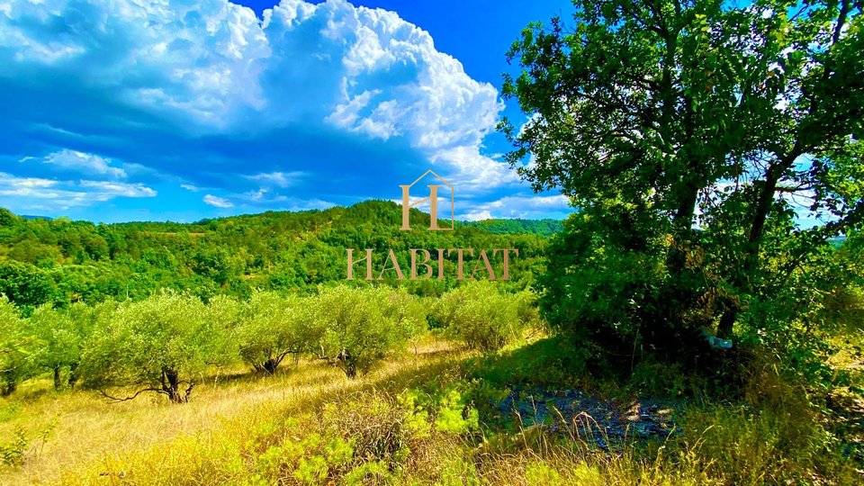 Istria, Draguć, OPPORTUNITY, building plot in a wonderful location, residential purpose