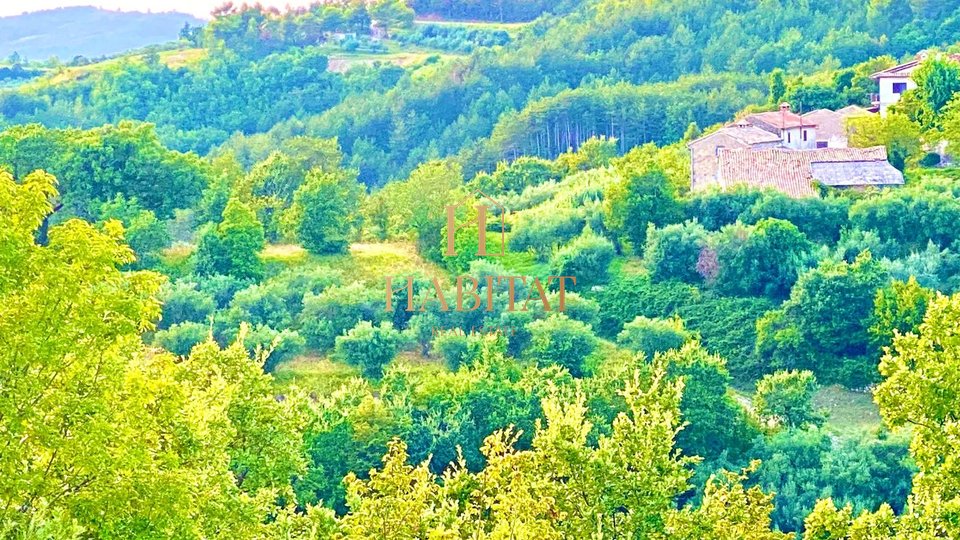 Istria, Draguć, OPPORTUNITY, building plot in a wonderful location, residential purpose