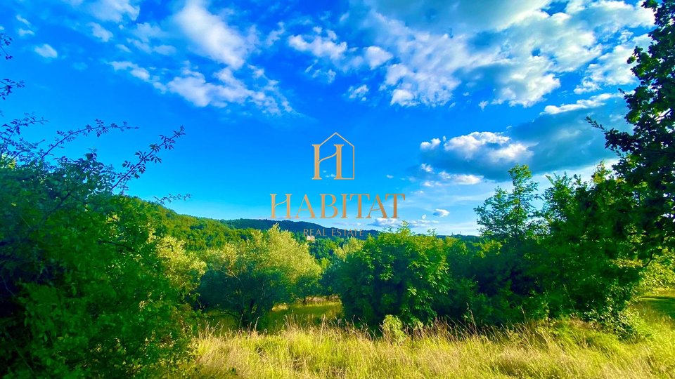 Istria, Draguć, OPPORTUNITY, building plot in a wonderful location, residential purpose