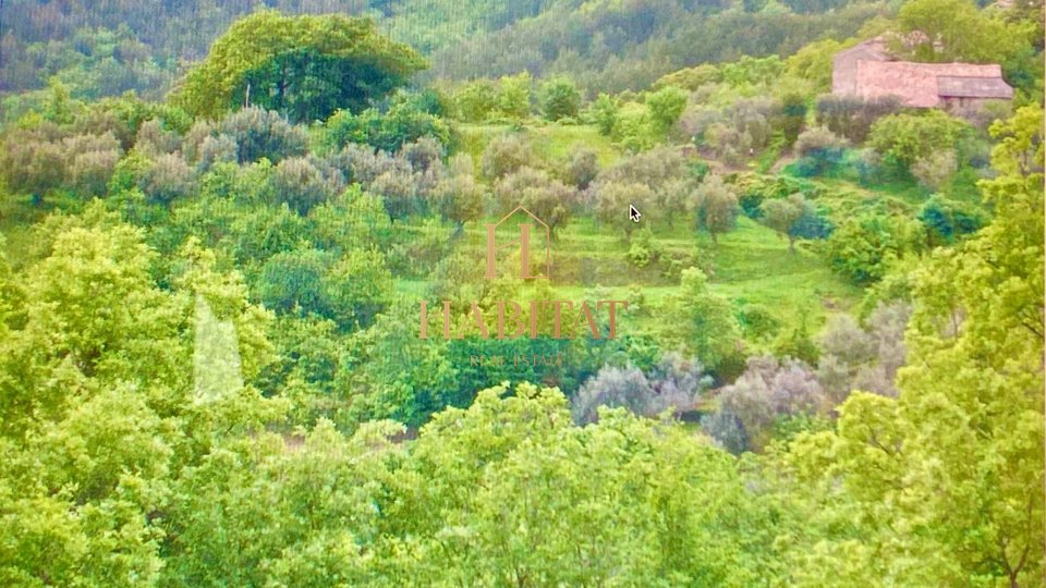 Land, 2200 m2, For Sale, Draguć