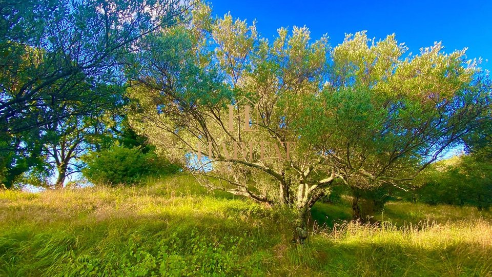 Istra, Draguć, PRILOŽNOST, gradbena parcela na čudoviti lokaciji, stanovanjska namembnost