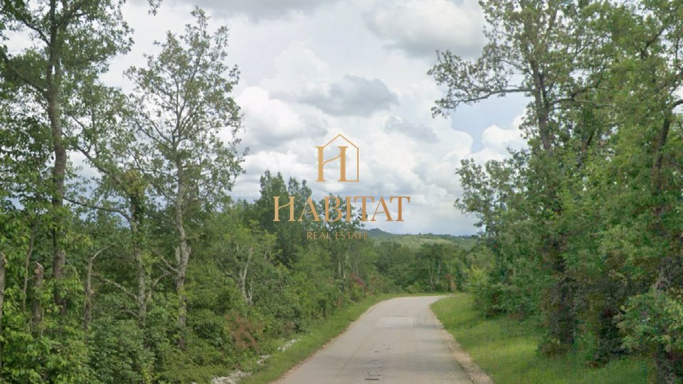 Istria, Kaštel, forest 23000m2, asphalt access road