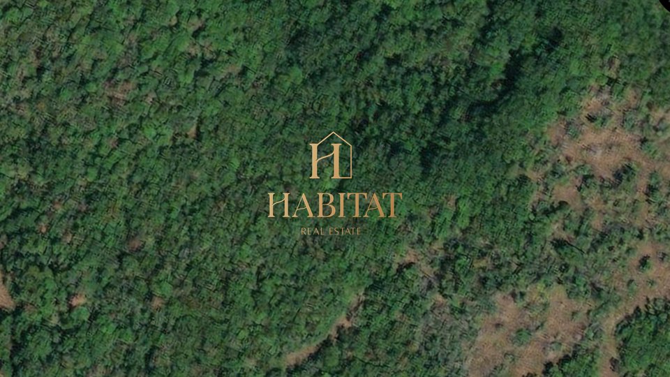 Istria, Kaštel, forest 23000m2, asphalt access road