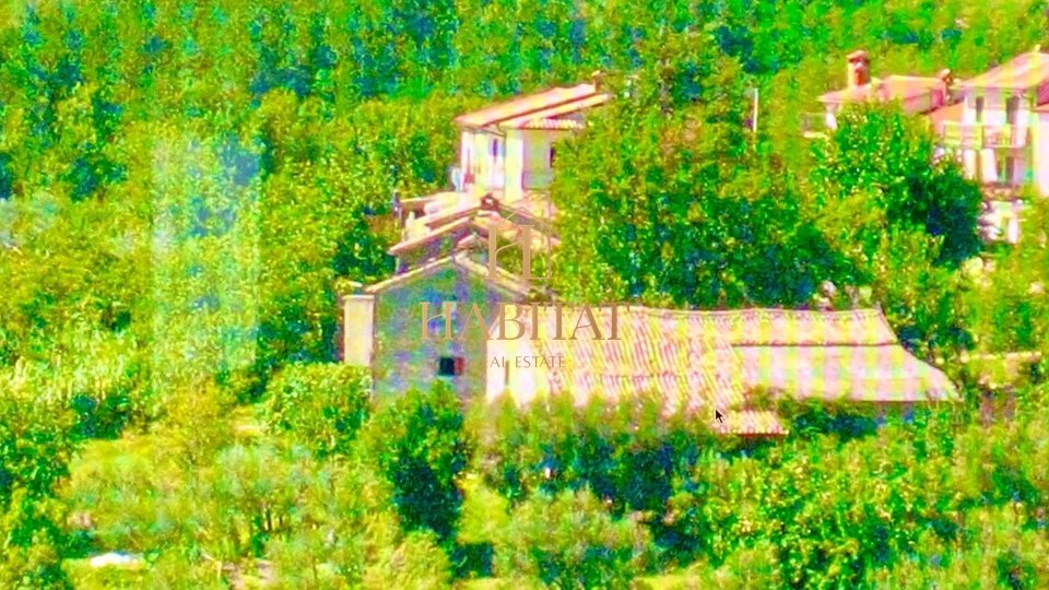 Estate, 4060 m2, For Sale, Draguć