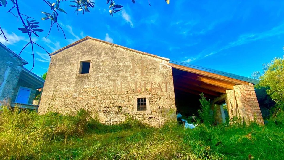 Istria, Draguć, Istrian station, 3 properties, nature