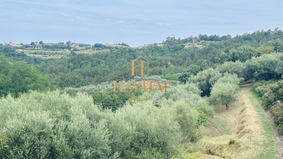 Istrien, Draguć, istrischer Bahnhof, 3 Immobilien, Natur