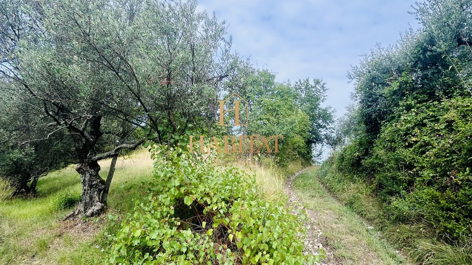 Istria, Draguć, Istrian station, 3 properties, nature