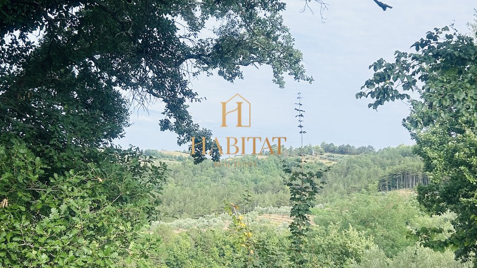 Estate, 4060 m2, For Sale, Draguć