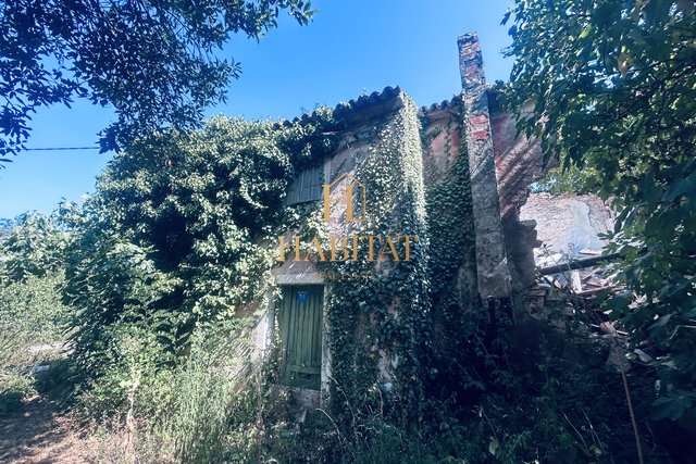 Istria, Kaštel, old Istrian stone house, yard