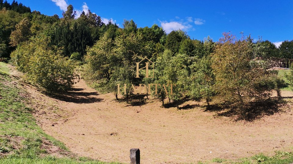 Land, 6596 m2, For Sale, Vrbovsko - Vujnovići