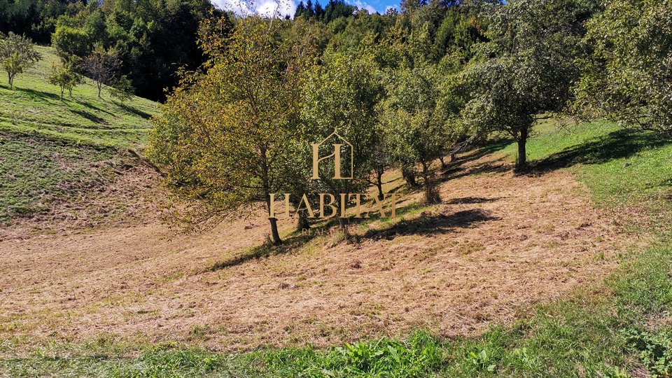 Land, 6596 m2, For Sale, Vrbovsko - Vujnovići