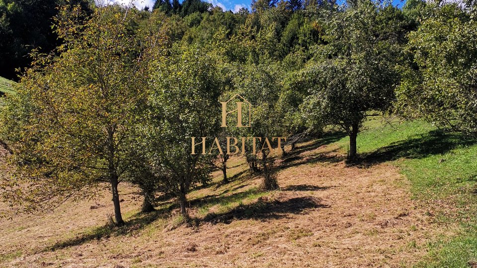 Land, 6596 m2, For Sale, Vrbovsko - Vujnovići