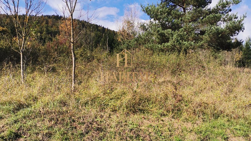 Land, 1300 m2, For Sale, Vrbovsko