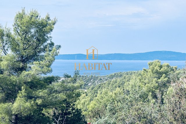 Dalmatia, Brač, Sutivan, plot 29787m2 with stamp, olive grove