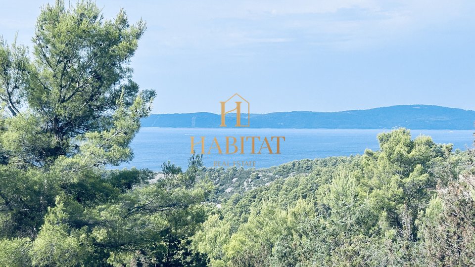 Dalmatia, Brač, Sutivan, plot 29787m2 with stamp, olive grove