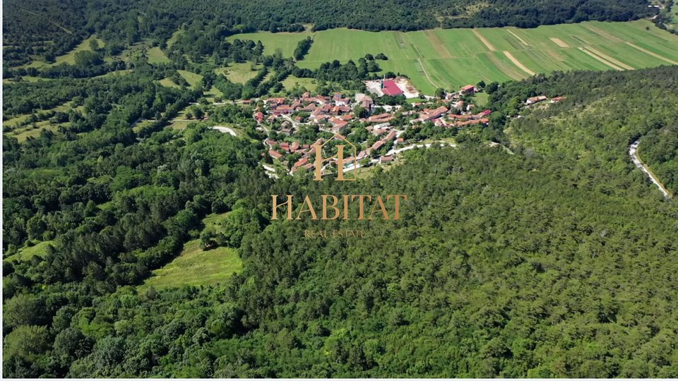 Istria, Lanišće, forest 21870m2, sale, €1.5/m2