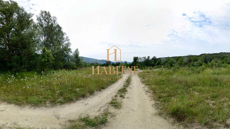 Land, 10091 m2, For Sale, Kršan - Šušnjevica